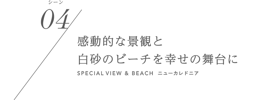 シーン04／感動的な景観と白砂のビーチを幸せの舞台に SPECIAL VIEW&BEACH ニューカレドニア