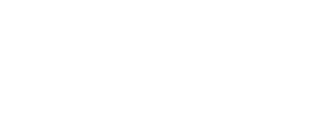 王たちに愛されたプラチナ
